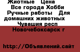 Жиотные › Цена ­ 50 - Все города Хобби. Ручные работы » Для домашних животных   . Чувашия респ.,Новочебоксарск г.